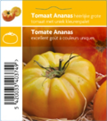 Tomate Ananas (tray 12 pot)